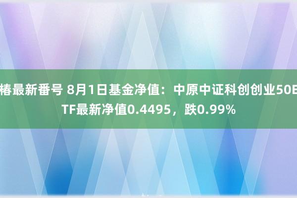椿最新番号 8月1日基金净值：中原中证科创创业50ETF最新净值0.4495，跌0.99%