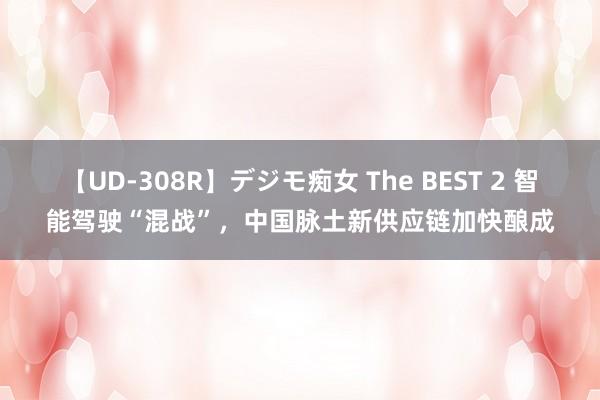 【UD-308R】デジモ痴女 The BEST 2 智能驾驶“混战”，中国脉土新供应链加快酿成
