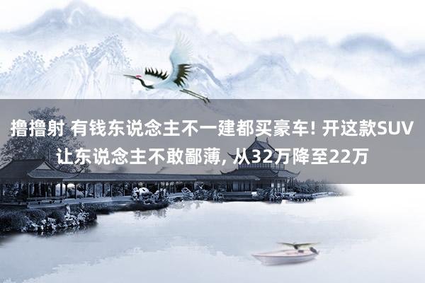 撸撸射 有钱东说念主不一建都买豪车! 开这款SUV让东说念主不敢鄙薄， 从32万降至22万