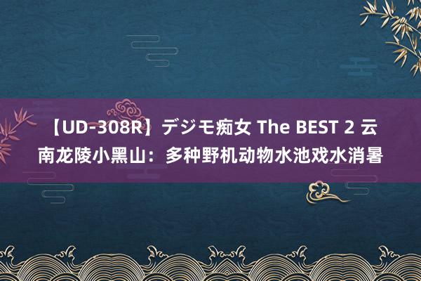 【UD-308R】デジモ痴女 The BEST 2 云南龙陵小黑山:多种野机动物水池戏水消暑