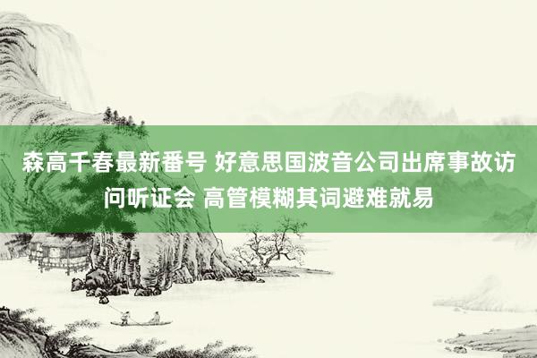 森高千春最新番号 好意思国波音公司出席事故访问听证会 高管模糊其词避难就易