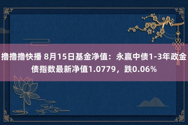 撸撸撸快播 8月15日基金净值：永赢中债1-3年政金债指数最新净值1.0779，跌0.06%