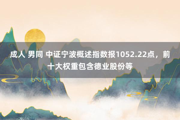 成人 男同 中证宁波概述指数报1052.22点，前十大权重包含德业股份等