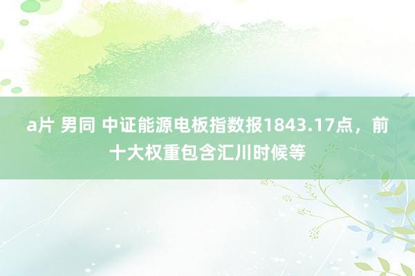 a片 男同 中证能源电板指数报1843.17点，前十大权重包含汇川时候等