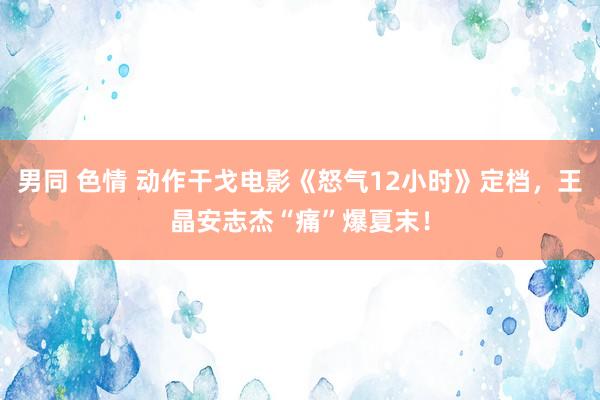 男同 色情 动作干戈电影《怒气12小时》定档，王晶安志杰“痛”爆夏末！